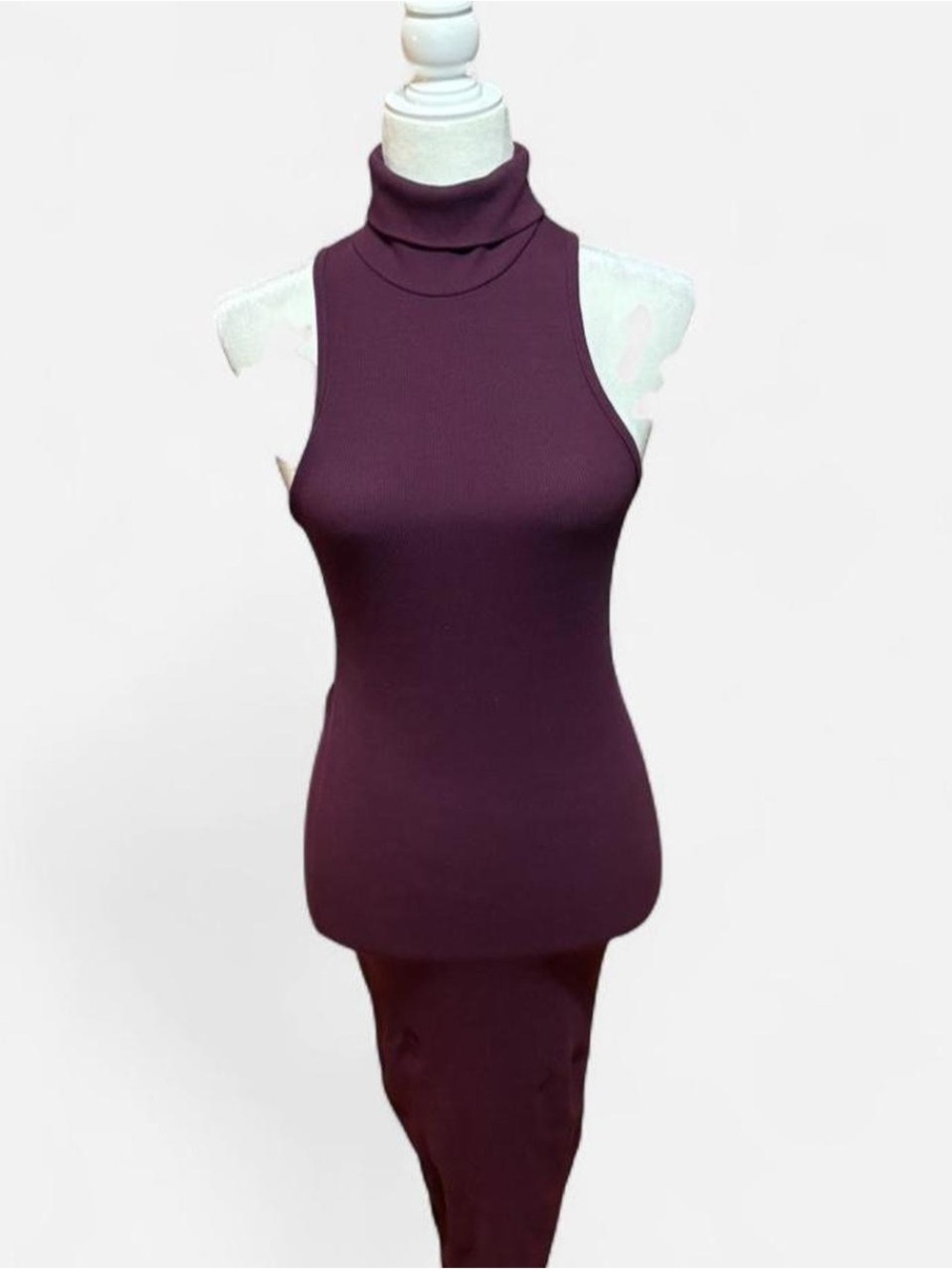 Zara Sleeveless Turtleneck Maxi Dress - Plum